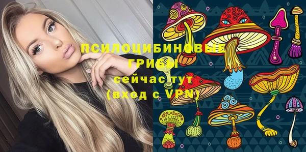 стафф Арсеньев
