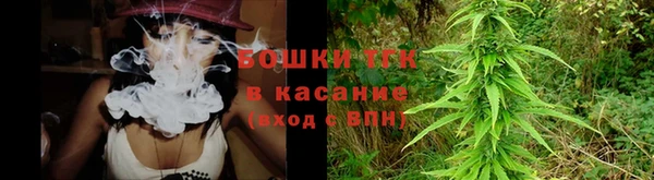 мяу мяу мука Аркадак