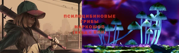 стафф Арсеньев