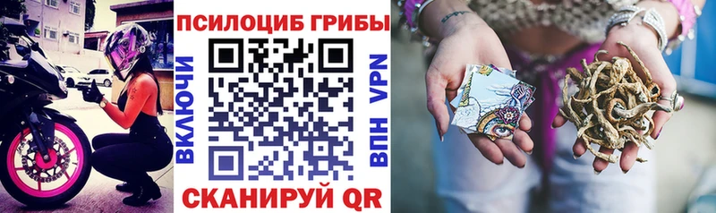 Псилоцибиновые грибы Cubensis  Облучье 